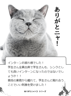 GRATICAカード、株式会社シンク